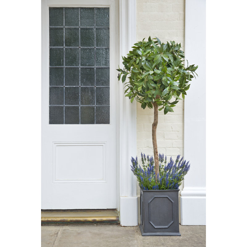 Berenice Handmade Pot Planter, 36 cm H x 30 cm W x 30 cm D, Faux Lead