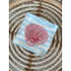Sally Seashells Stripe-2007160503