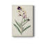 Antique Botanical Collection VII - reproduction-489498783