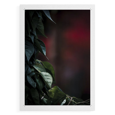Dramatic Foliage I - Impression sur toile seulement - NON CADRE
