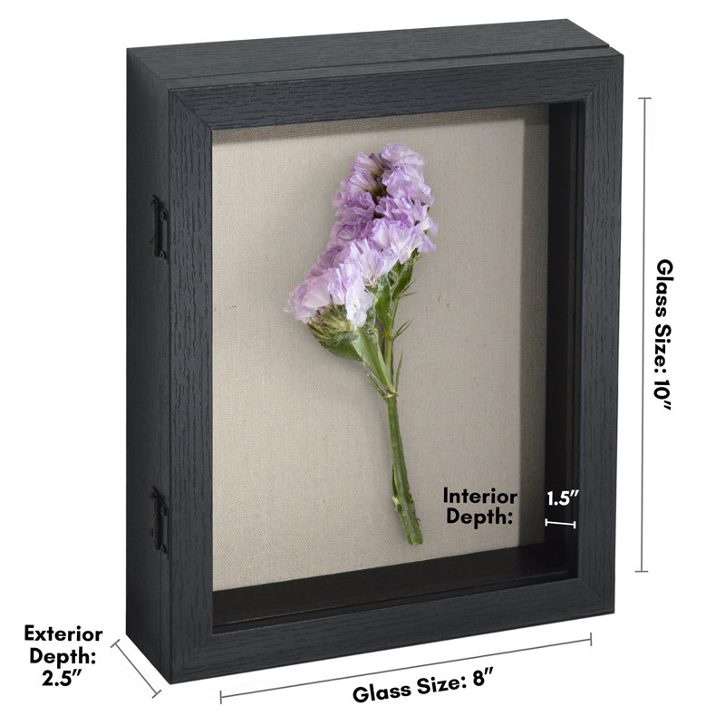 Merranda Front Loading Shadow Box Frame and Display Case for Keepsakes, Black, 8" W x 10" H