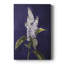 FLORAL Series CCXLII - Gallery Cavas sur mesure-1671473506