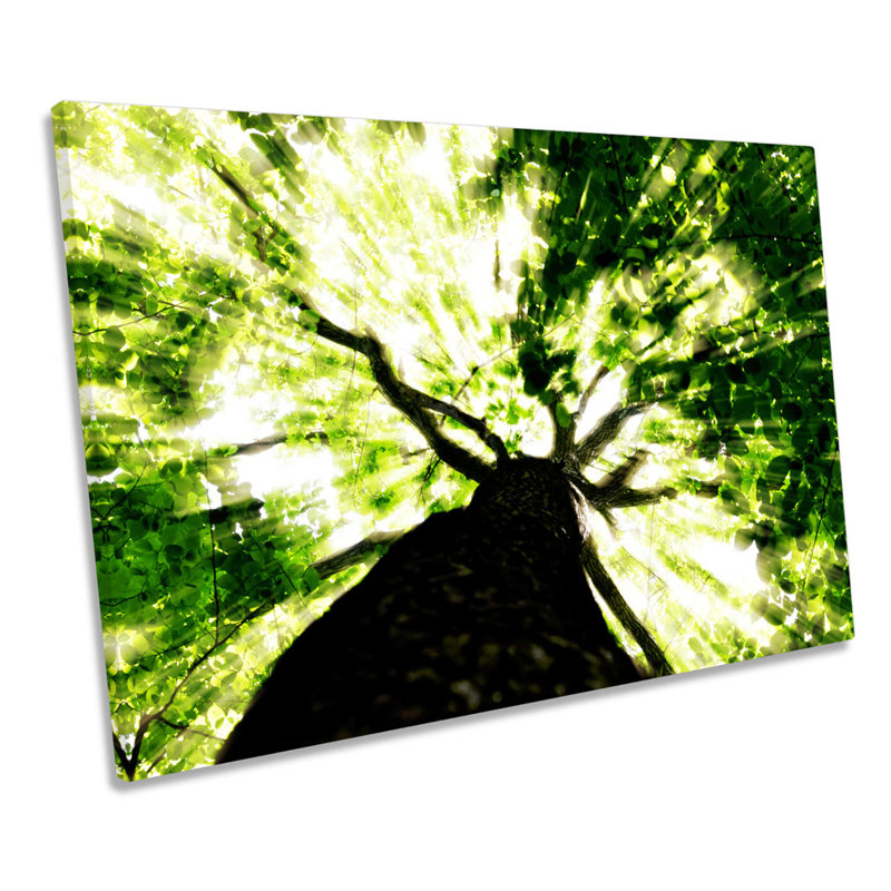 Forest Sky Floral - Wrapped Canvas Print, 30.5cm H x 45.7cm W x 2cm D