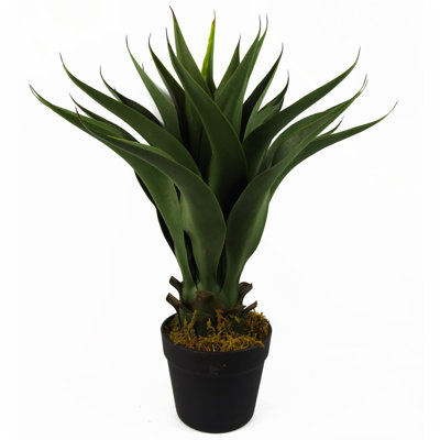 55cm Faux Yucca Tree in Pot Liner