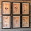 Vintage Pressed Botanical Framed Prints - Set of 6