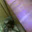 Photos des clients 2 de 3