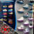 Floating Shoe Display Rack 6-Piece Set With Lights, Glowing Colour Changing Wall Rack