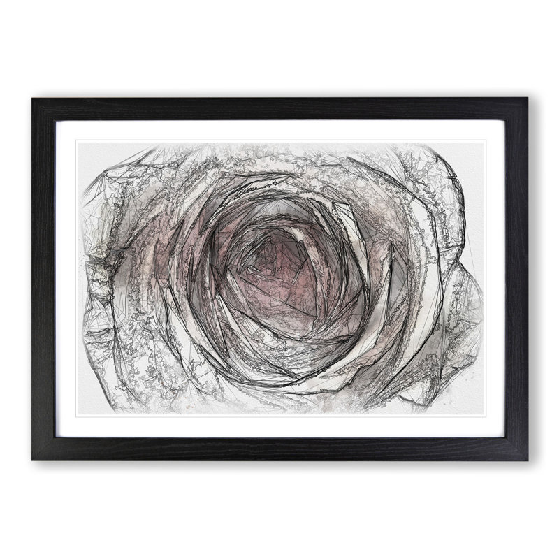 Pink Rose Flower Vol.3 - Picture Frame Drawing, 36cm H x 48cm W x 2cm D, Black Framed