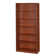 Nebil Standard Bookcase