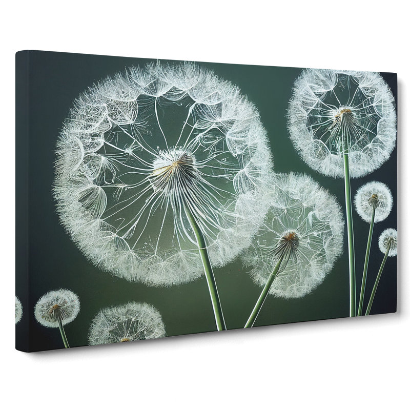 Joyful Dandelion Flowers - Wrapped Canvas, 35cm H x 50cm W x 3cm D