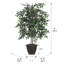 Mini buisson de 4 pi tous les jours-1001797123