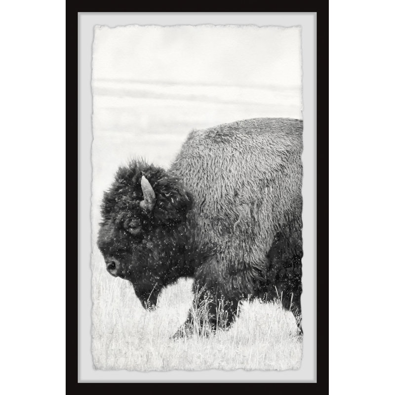 Sproule Marmont Hill - Single Picture Frame Print