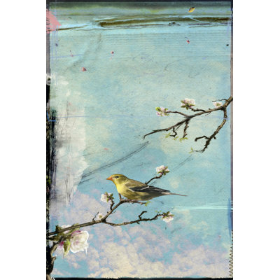 Bird Window II by Ingrid Blixt - Wrapped Canvas Painting