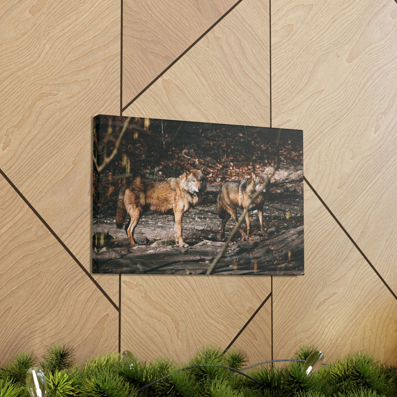 No Frame Print on Canvas, 45.72cm H x 60.96cm W