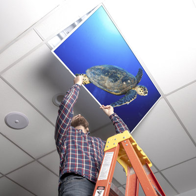 Ocean Classroom Fluorescent Light Covers for Ceiling Lights - For 2x4 Light Fixture - by Octo Lights
