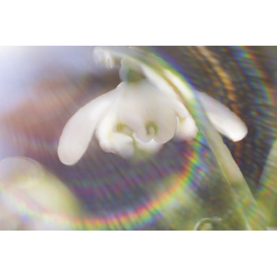 Glorious In Rainbow I by Gillian Hunt - Wrapped Canvas Print