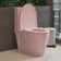 1.1/1.6 GPF Dual-Flush Elongated One-Piece Toilet with 17.13 in. Comfort Seat Height, Ceramic Glazed Surface(Soft Close Seat Included), 4 Colours Option