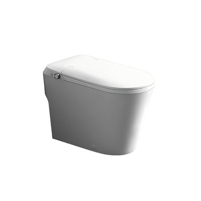 Robinet de chasse 12 po, double chasse avec coup de pied et bouton manuel, fonction de nettoyage intégrée, toilette de salle de bain domestique