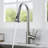 WoodBridge Pull Down Kitchen Faucet-49414071