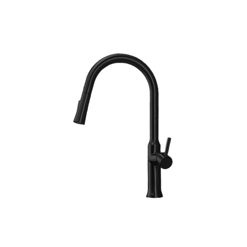 Trova Pull Down Single Handle Kitchen Faucet with Accessories, Black