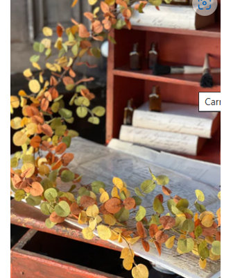Carnival Eucalyptus Garland For Fall