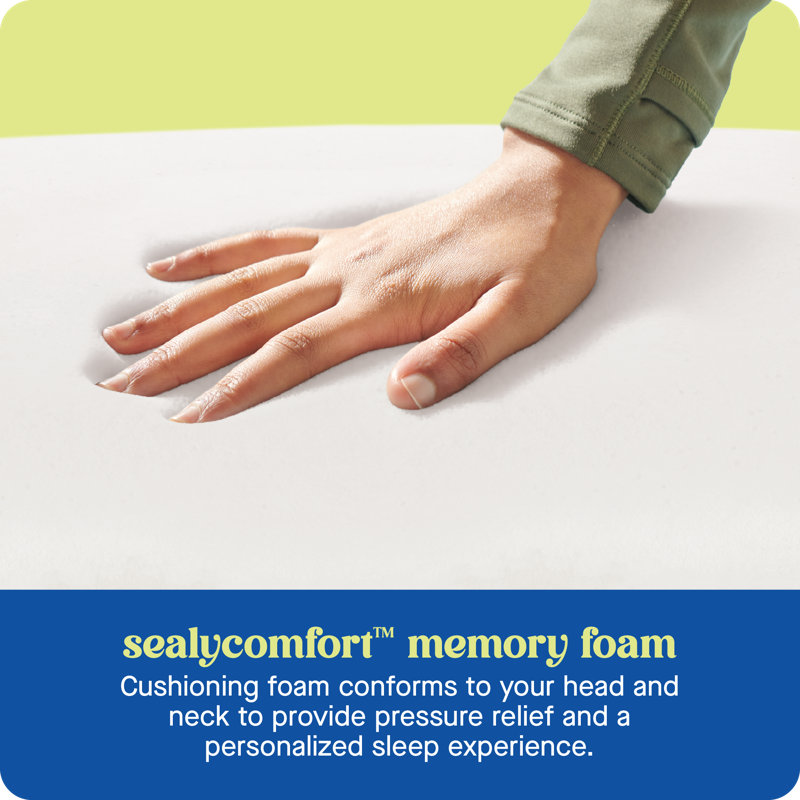 Sealy Dreamlife Standard White Memory Foam Bed Pillow