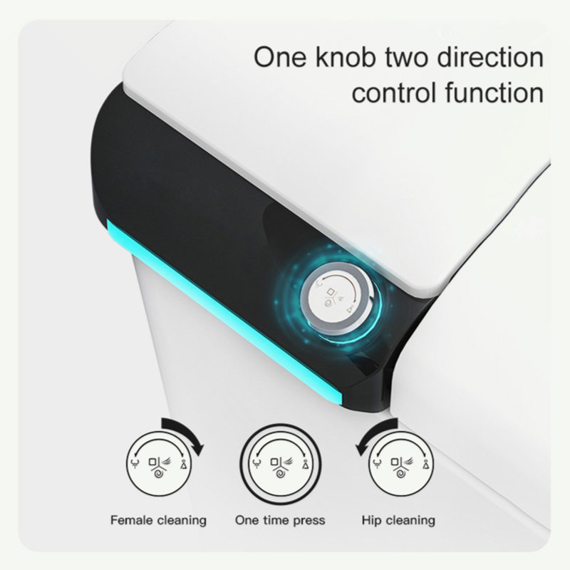 Toilette bidet allongée sans réservoir, chasse d'eau automatique, siège chauffant, lavage instantané à l'eau chaude, sécheuse, veilleuse