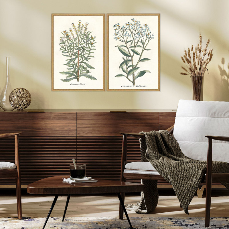 "Botanical Plants I S / 2" par Giclee Studio 2 - Ensemble de pièces sur papier
