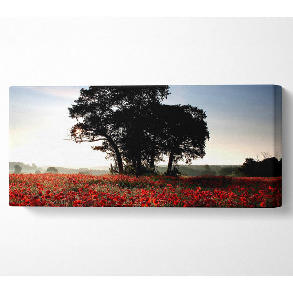 Ebern Designs Sunset Poppy Tree - Wrapped Canvas Panoramic Art Prints ...