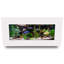 Réservoir d'aquarium rectangulaire 5 gallons Angelica-930680396