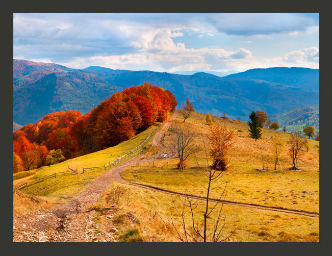 Warm Autumn Landscape 3.09m x 400cm Wallpaper, 350 cm L x 270 cm W