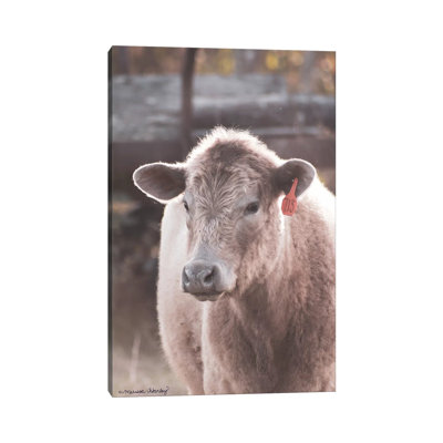 Portrait of a Cow 1 Piece Wrapped Canvas Wall Art
