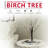 Twig Birch Tree Snow Effect with Lights