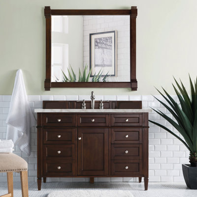 Dussault 48'' Single Bathroom Vanity with Top