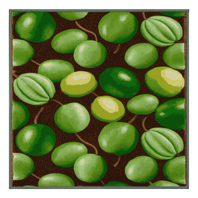  Tapis lavable avec fruits Mamoncillo