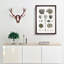 Collection of Fossils III by Oliver Goldsmith - Picture Frame Painting on MDF-57864627-57864625