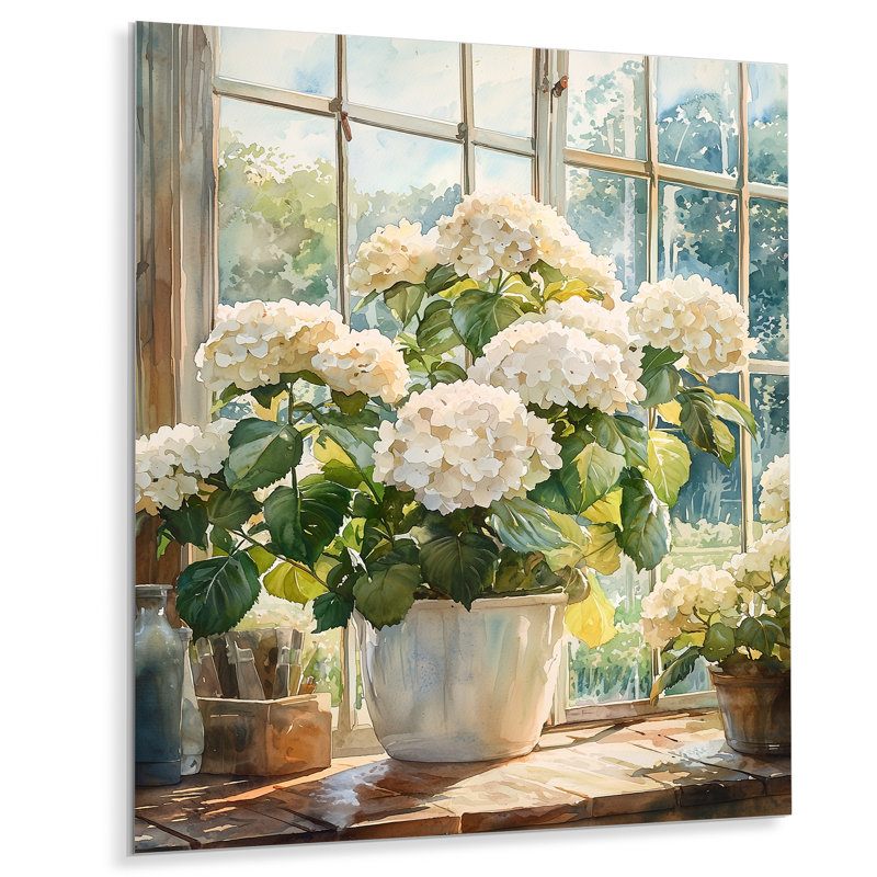 Hydrangeas in the Farm Greenhouse II - Hydrangea, impression murale sur métal, H 32 po x l 24 po