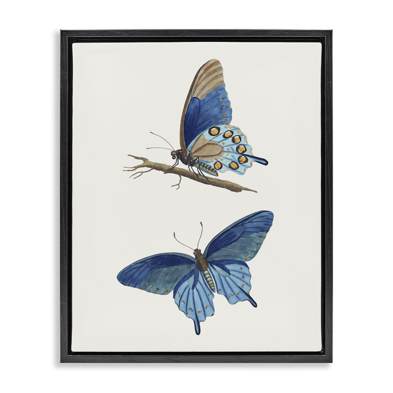 Cadre flottant bleu avec papillons bleus, design par Arlington Prints, H 31 po x l 25 po, Cadre flottant noir de jais