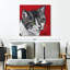 Chat tigré sur fond rouge-109395976