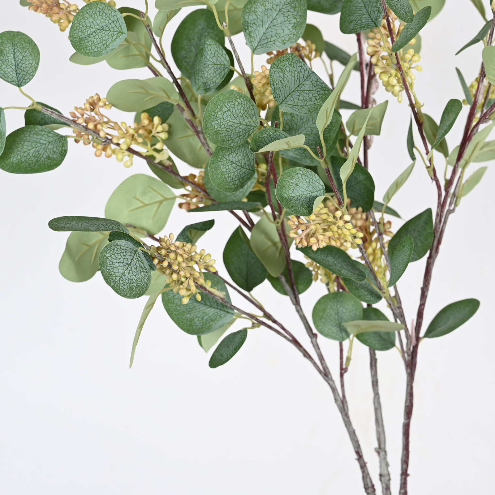 Eucalyptus Blossom Stems