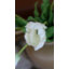Tulip Faux Floral-1888593889