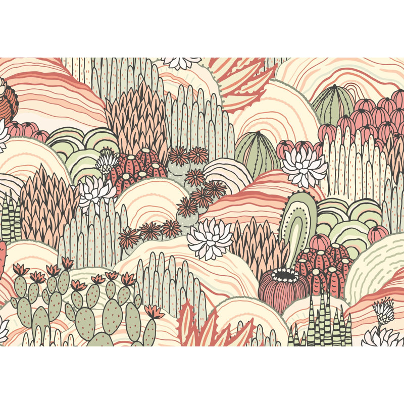Cactus Succulents