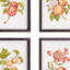 IMPRIMES AUTOMATIQUES DE FRUITS, ENSEMBLE DE 4
