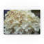 «Kernell Hydrangea Delight I» par Felicity Bradley - reproduction de photo sur toile-25675541