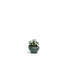 Luna Planter-921280416-921280423