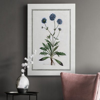 «Soft Botanical II», impression sur toile tendue
