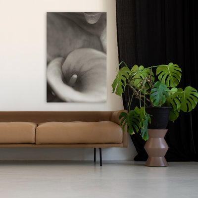 Florison #19 - Floral And Still Life Photography Calla Lilies Flowers Art