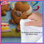 Felt Buffalo Birthday Party Comforter-125235149