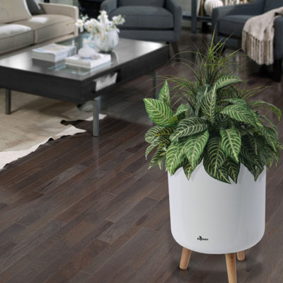 Modena Indoor/Outdoor Self-Watering Plastic Stand Planter