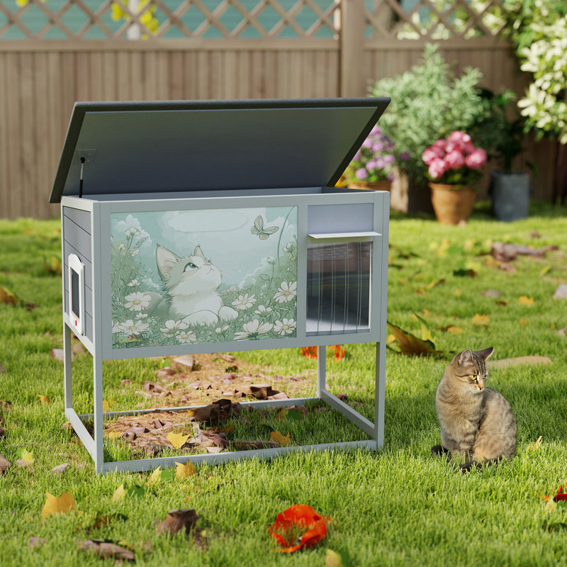 Cat Cage